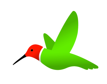 Robeks Hummingbird